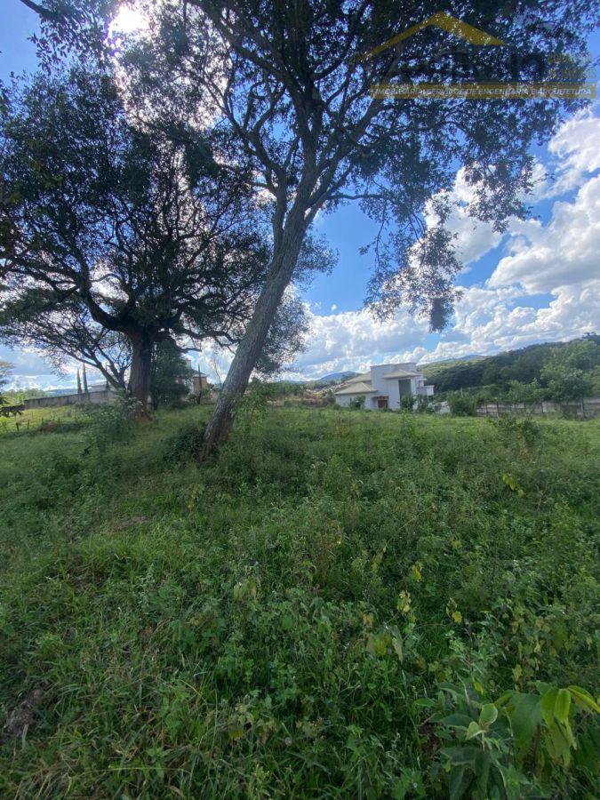 WhatsApp Image 2026-04-13 at 17.10.05 (7).jpeg